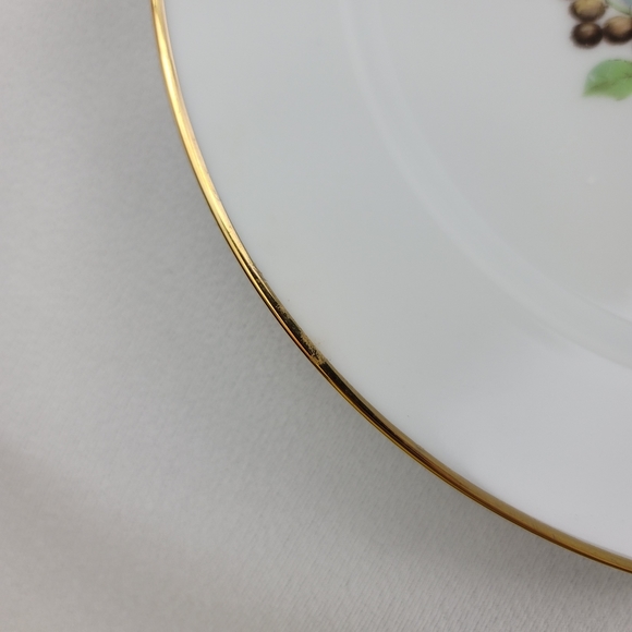 (4) Vtg JKW Western Germany Fine Porcelain Bird Plates - Picture 15 of 16